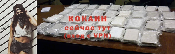 сатива Нягань