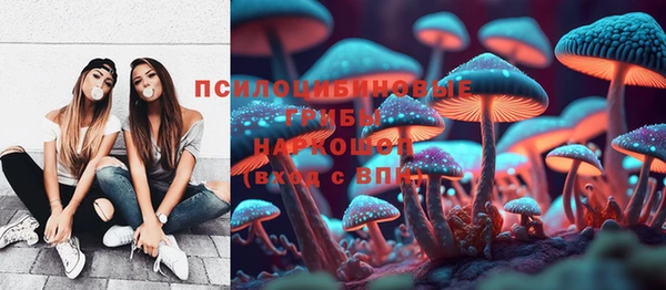 ECSTASY Нязепетровск