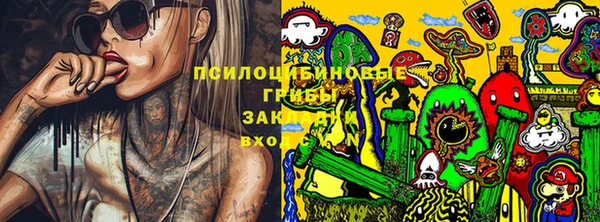 сатива Нягань