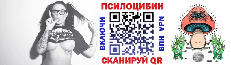 где купить наркоту  Новоузенск  Галлюциногенные грибы GOLDEN TEACHER 